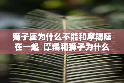 狮子座为什么不能和摩羯座在一起  摩羯和狮子为什么不和