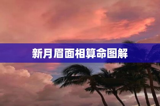 新月眉面相算命图解