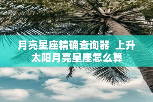 月亮星座精确查询器  上升太阳月亮星座怎么算