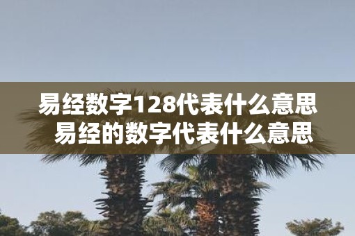 易经数字128代表什么意思  易经的数字代表什么意思