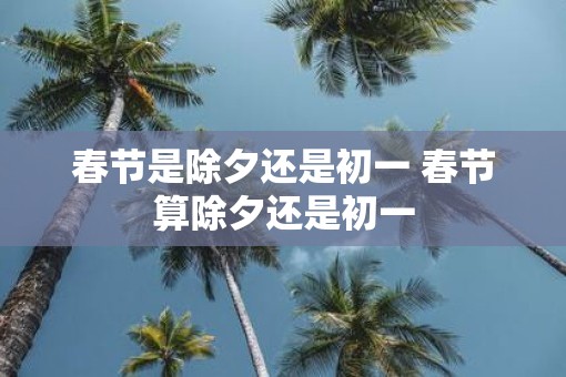 春节是除夕还是初一 春节算除夕还是初一