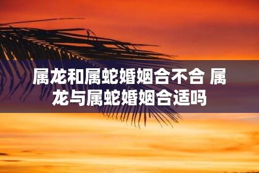 属龙和属蛇婚姻合不合 属龙与属蛇婚姻合适吗