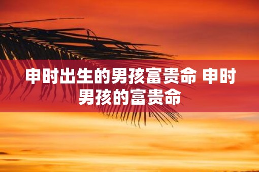 申时出生的男孩富贵命 申时男孩的富贵命