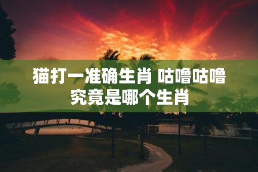 猫打一准确生肖 咕噜咕噜究竟是哪个生肖