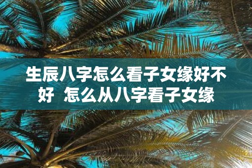 生辰八字怎么看子女缘好不好  怎么从八字看子女缘
