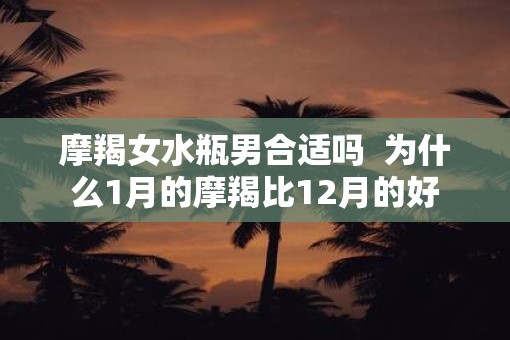 摩羯女水瓶男合适吗  为什么1月的摩羯比12月的好