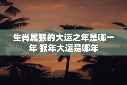 生肖属猴的大运之年是哪一年 猴年大运是哪年