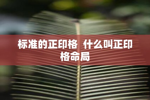标准的正印格  什么叫正印格命局