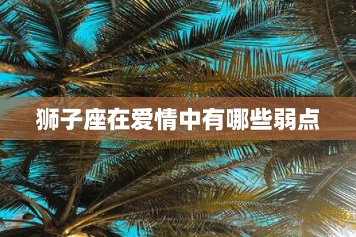 狮子座在爱情中有哪些弱点