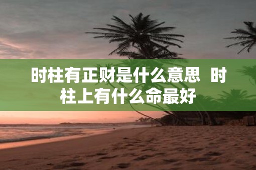 时柱有正财是什么意思  时柱上有什么命最好