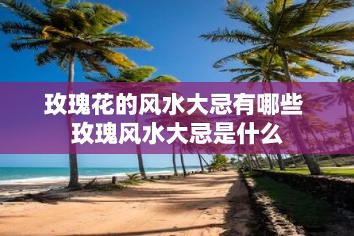 玫瑰花的风水大忌有哪些 玫瑰风水大忌是什么