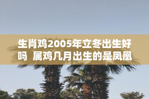 生肖鸡2005年立冬出生好吗  属鸡几月出生的是凤凰命