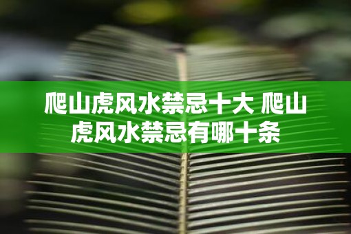 爬山虎风水禁忌十大 爬山虎风水禁忌有哪十条