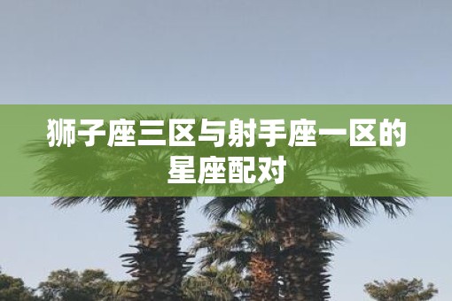狮子座三区与射手座一区的星座配对