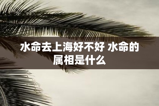 水命去上海好不好 水命的属相是什么