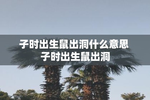 子时出生鼠出洞什么意思 子时出生鼠出洞