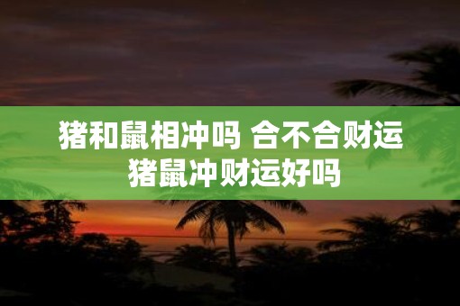 猪和鼠相冲吗 合不合财运 猪鼠冲财运好吗