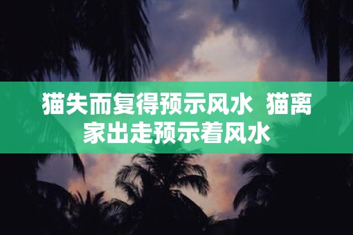 猫失而复得预示风水  猫离家出走预示着风水
