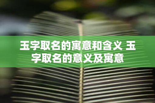 玉字取名的寓意和含义 玉字取名的意义及寓意