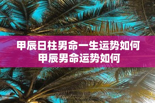 甲辰日柱男命一生运势如何 甲辰男命运势如何