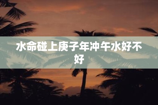 水命碰上庚子年冲午水好不好