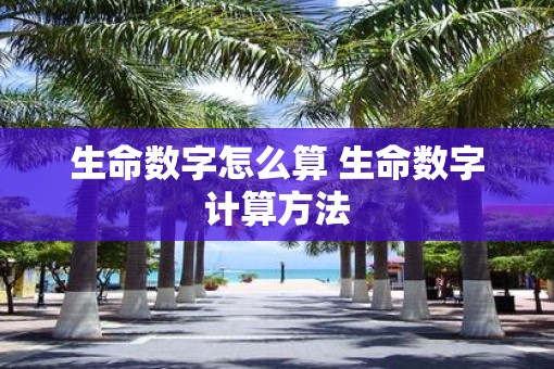 生命数字怎么算 生命数字计算方法