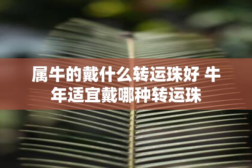 属牛的戴什么转运珠好 牛年适宜戴哪种转运珠