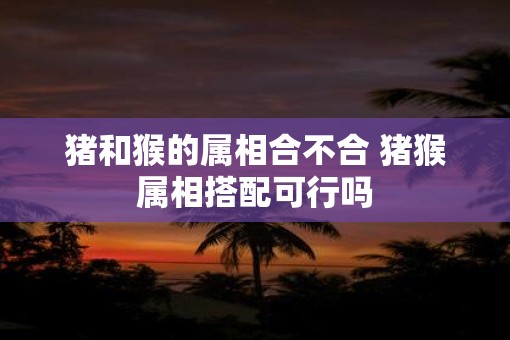 猪和猴的属相合不合 猪猴属相搭配可行吗