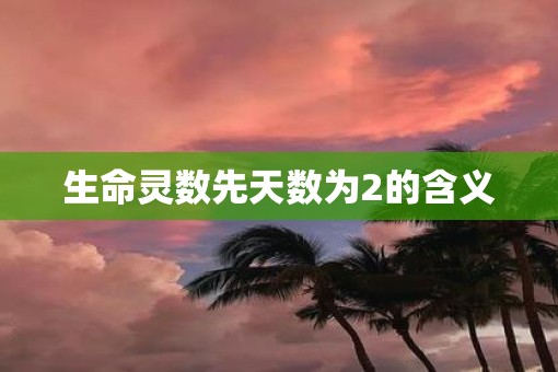 生命灵数先天数为2的含义