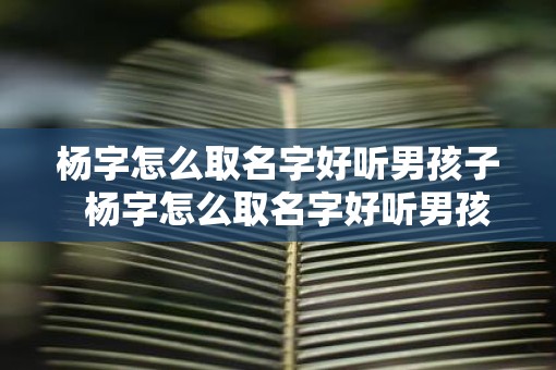 杨字怎么取名字好听男孩子  杨字怎么取名字好听男孩