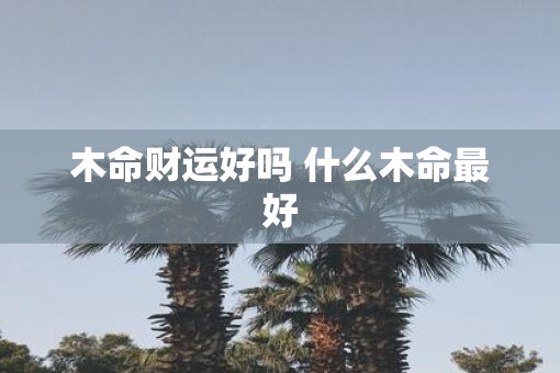 木命财运好吗 什么木命最好