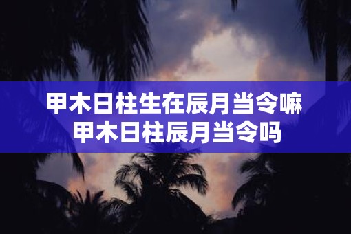 甲木日柱生在辰月当令嘛 甲木日柱辰月当令吗