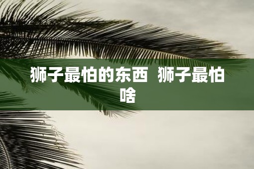 狮子最怕的东西  狮子最怕啥
