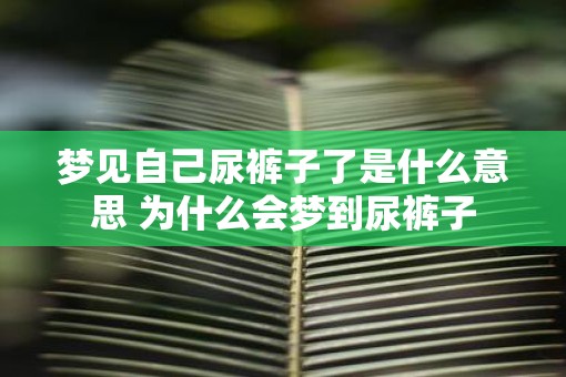梦见自己尿裤子了是什么意思 为什么会梦到尿裤子