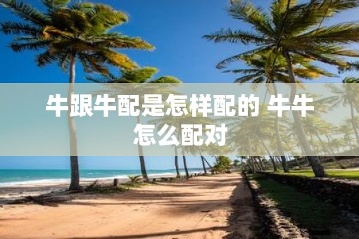牛跟牛配是怎样配的 牛牛怎么配对