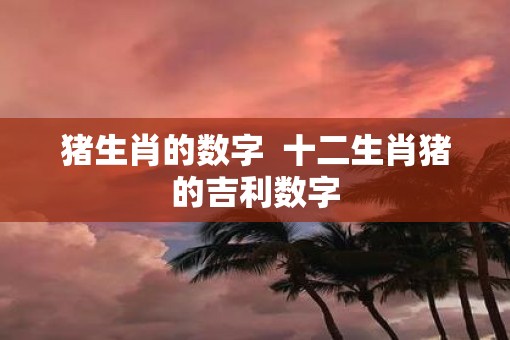 猪生肖的数字  十二生肖猪的吉利数字