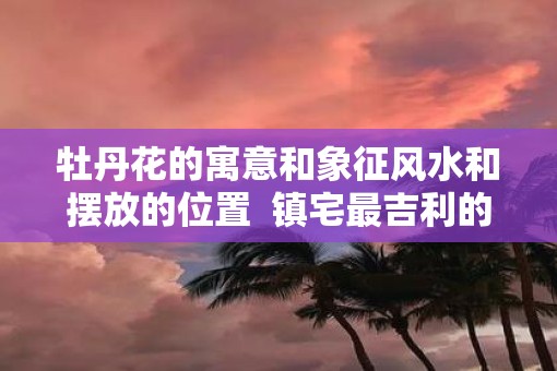 牡丹花的寓意和象征风水和摆放的位置  镇宅最吉利的三种花