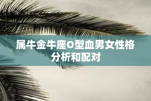 属牛金牛座O型血男女性格分析和配对