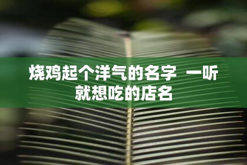 烧鸡起个洋气的名字  一听就想吃的店名