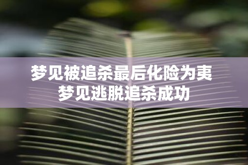 梦见被追杀最后化险为夷 梦见逃脱追杀成功