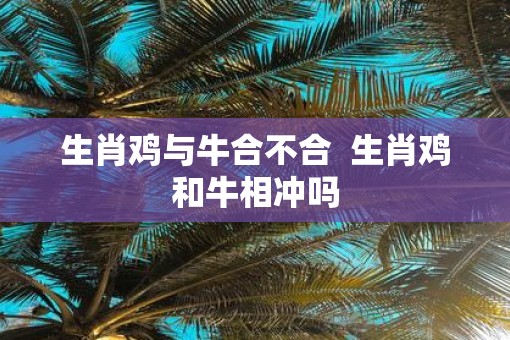 生肖鸡与牛合不合  生肖鸡和牛相冲吗