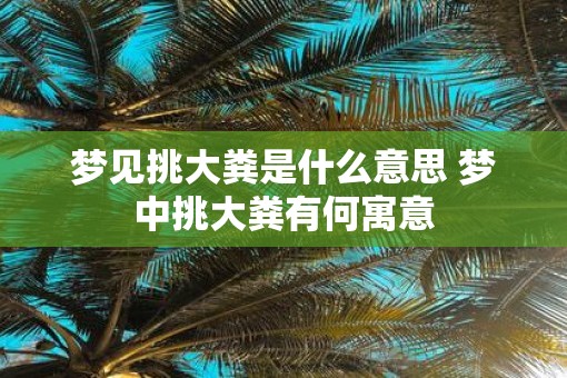 梦见挑大粪是什么意思 梦中挑大粪有何寓意