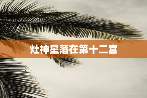 灶神星落在第十二宫
