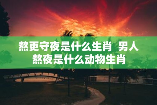 熬更守夜是什么生肖  男人熬夜是什么动物生肖