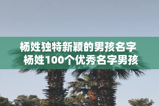 杨姓独特新颖的男孩名字  杨姓100个优秀名字男孩