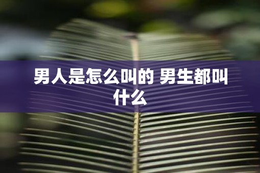 男人是怎么叫的 男生都叫什么