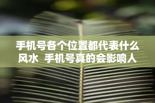 手机号各个位置都代表什么风水  手机号真的会影响人的运气吗