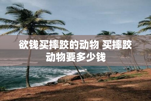 欲钱买摔跤的动物 买摔跤动物要多少钱