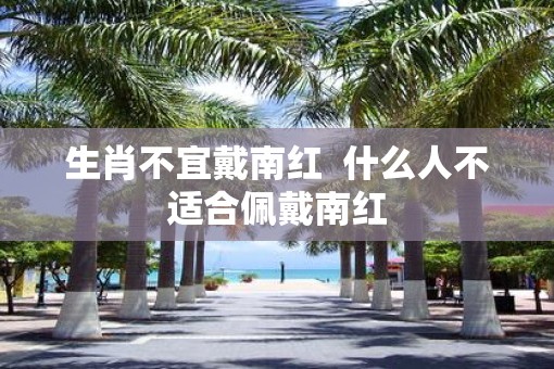 生肖不宜戴南红  什么人不适合佩戴南红