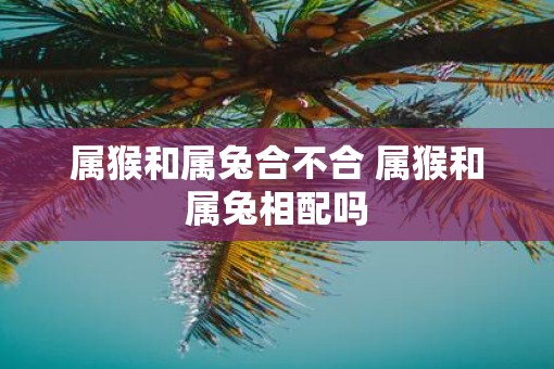 属猴和属兔合不合 属猴和属兔相配吗